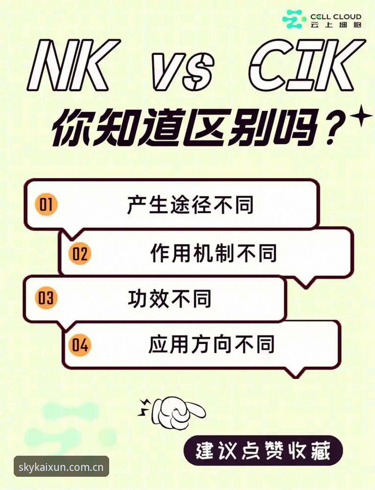 官网安装 vs 最新版本下载：云开全站安装使用技巧全面对比